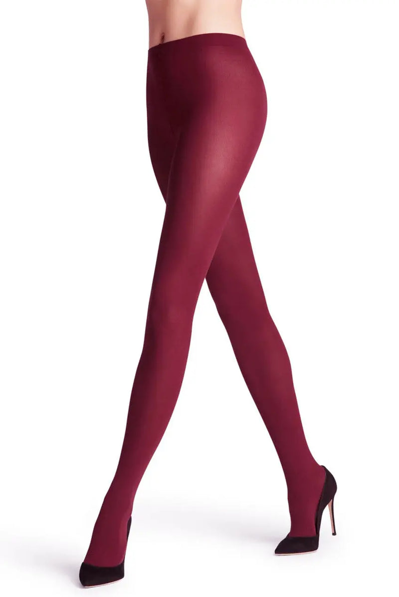 50 Denier Tights Shop Byxie