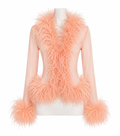 Rosalie Sheer Ostrich Feather Blouse - Blush rose Shop Byxie